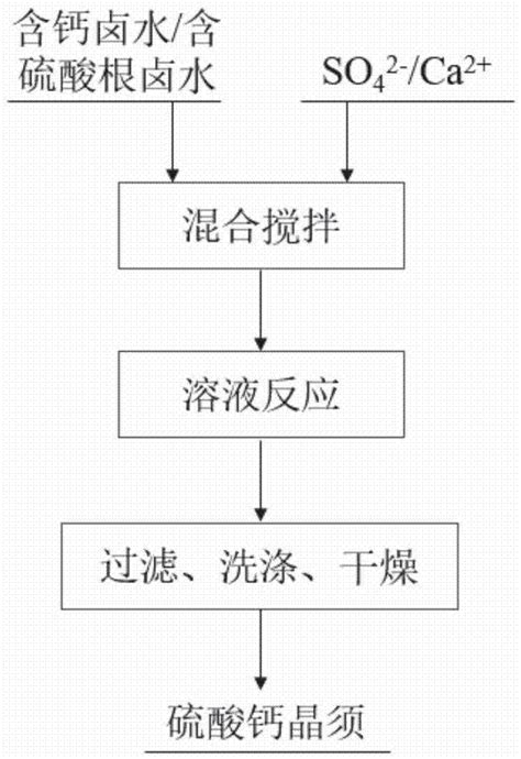 一种从卤水中制备硫酸钙晶须的方法与流程