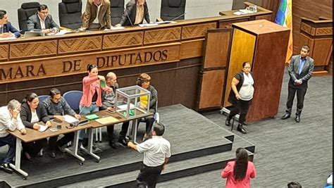 Diputados Rechazan Cambios Del Senado Al PGE 2023 Reformulado Y Pasa Al