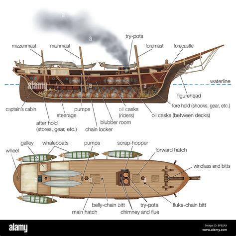 Whaling Ship Diagram