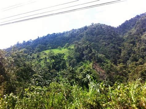 Llegar A Montañita Una Odisea En Ecuador Viajando Con Fran