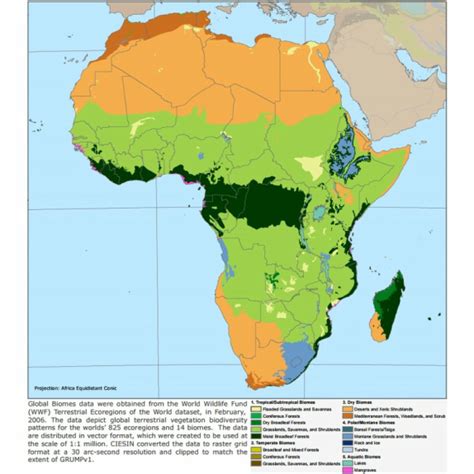 The African Savanna