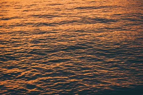 Calm Sea During Sunset | Free Background by picjumbo