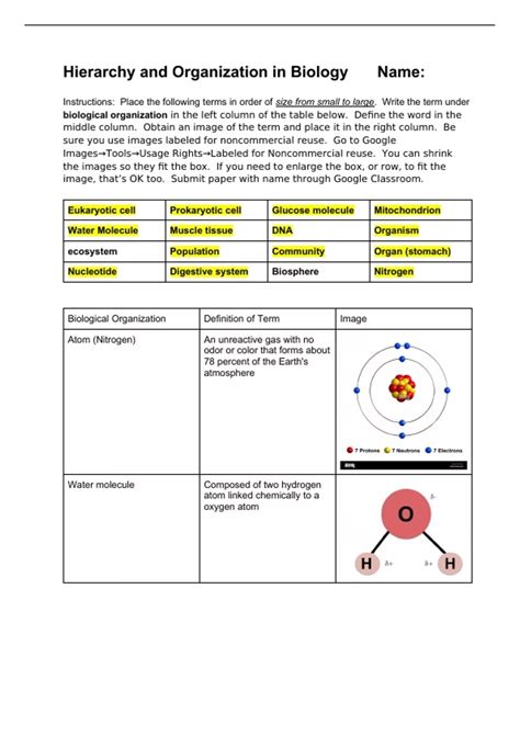 Organizational Hierarchy of Biology - Biology - Stuvia US