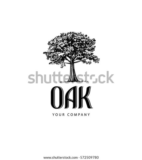 Oak Tree Logo Stock Vector (Royalty Free) 572509780