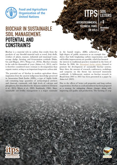 Pdf Biochar In Sustainable Soil Management Potential And Constraints