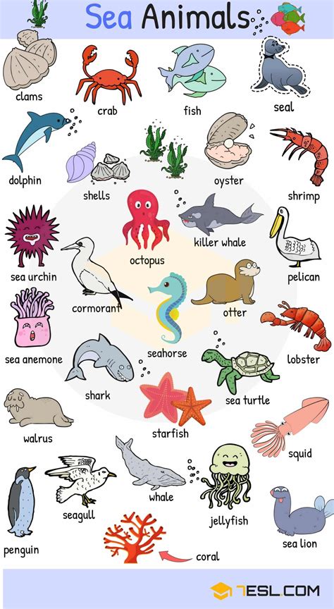 Animal Marinho Em Inglês - Sea Animals Vocabulary Chart | Animais em ingles, Dicas em ingles ...