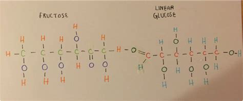 Fructose Linear Structure