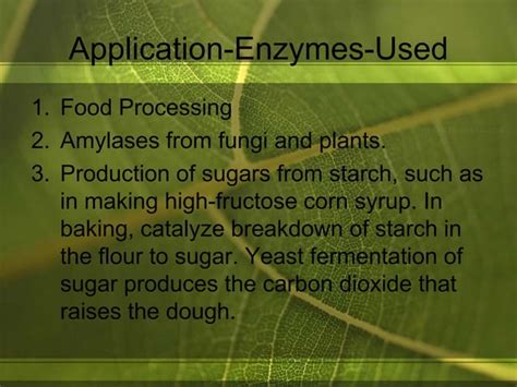 Industrial Applications Of Enzymes Ppt