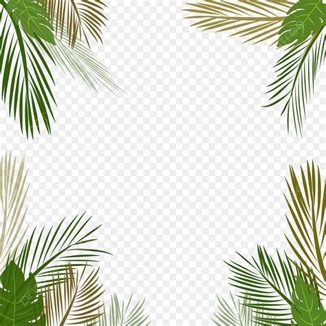 Bingkai Daun Kelapa Dan Monstera Tropis Leaveframe Musim Panas Png Transparan Clipart Dan