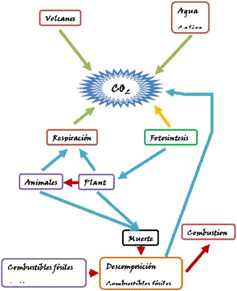 Mapa Conceptual De Ecología De Poblaciones