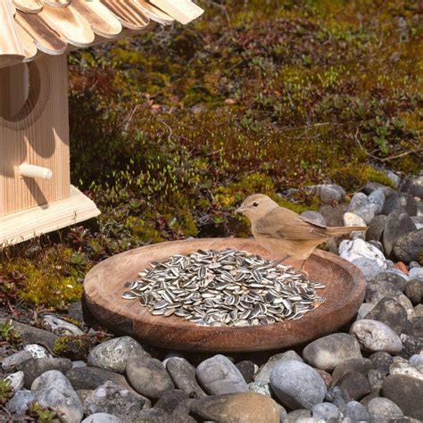 25 kg Sonnenblumenkerne gestreift Vogelfutter Wildvögel Ganzjährig Lyra