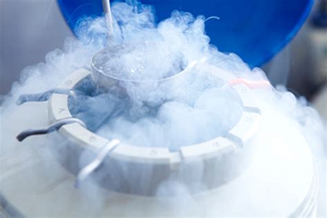 PureSafety On Demand Cryogen Safety