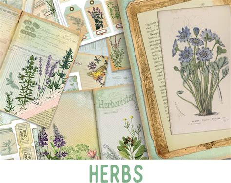 Herbs Junk Journal Kit Printable Journal Kit Digital Collage Sheets