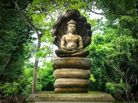 Estatua De Buda Al Abrigo De Naga Hood En El Bosque Foto Premium