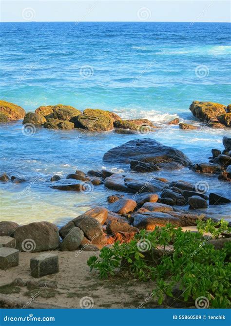 Waves And Rocks At Ocean Bay In Sri Lanka Stock Image Image Of