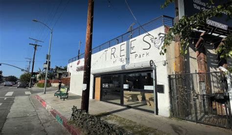 Trees of Echo Park – Los Angeles | Neighborhood Dispensary