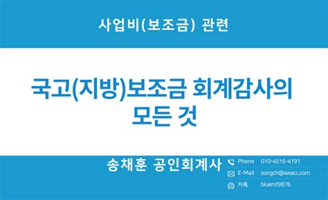 국고지방보조금 회계감사의 모든 것 네이버 블로그