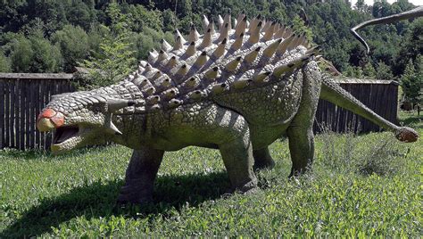 Pictures And Profiles Of Armored Dinosaurs