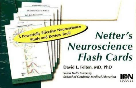 Netter S Neuroscience Flash Cards Netter Basic Science David L