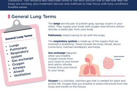 What Is Cystic Fibrosis Fact Sheet Nhlbi Nih