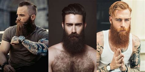 10 estilos de barba mais usados qual combina mais você