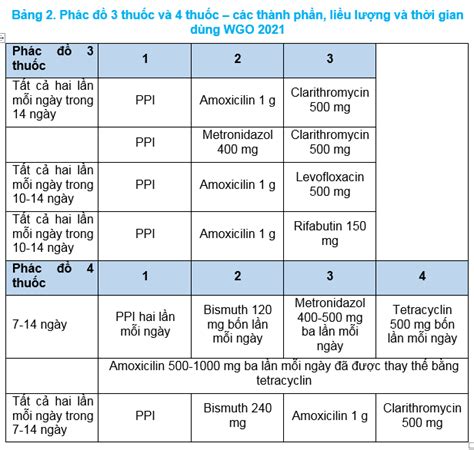 Phác Đồ 4 Thuốc Diệt Hp Hướng Dẫn Chi Tiết Và Hiệu Quả Điều Trị Cao