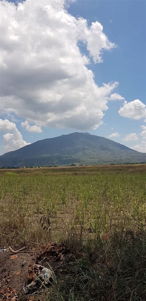 Mount Arayat - 2019 All You Need to Know BEFORE You Go (with Photos) - TripAdvisor