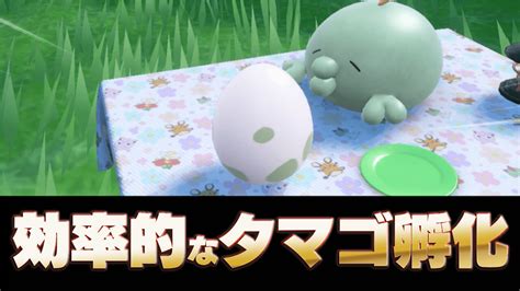 【ポケモンsv】タマゴ孵化の効率的なやり方は？作り方と孵化方法【スカーレットバイオレット】 Poxnel