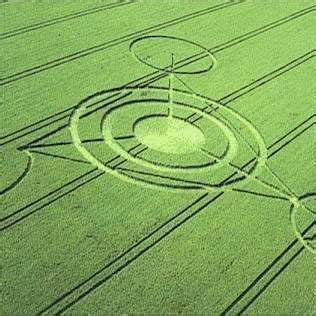 PDF Rangkuman MENGUAK MISTERI CROP CIRCLE DI INDONESIA