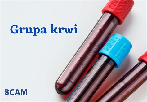 Grupa Krwi