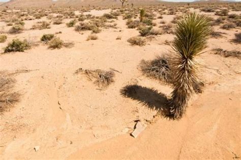 Accona Desert in Italy | HappyTrips.com