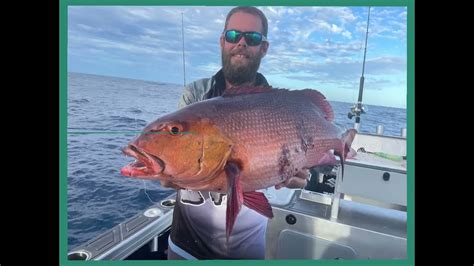 Catching Reef Fish At The Bunker Group Youtube