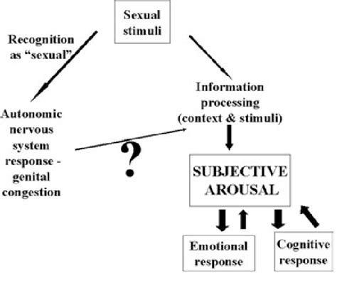 A Model Of Womens Sexual Arousal Adapted From A Model Of Womens Download Scientific Diagram