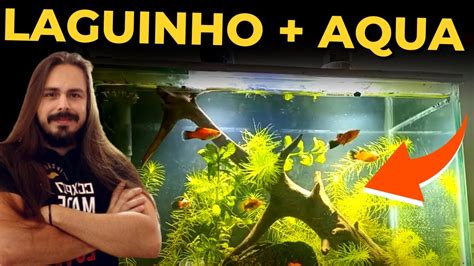 Aqu Rio E Laguinho Plantado Do Inscrito Cl Udio Mr Betta Youtube