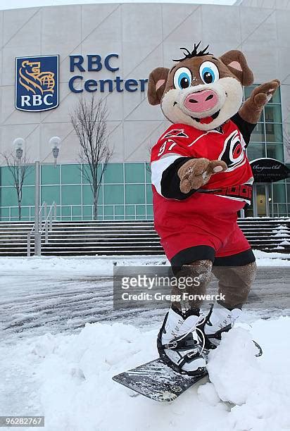 Stormy The Ice Hog Photos and Premium High Res Pictures - Getty Images