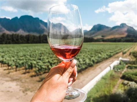 Uncorking The 15 Best Cape Town Wine Tours