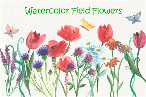 Watercolor Field Flowers | Deeezy