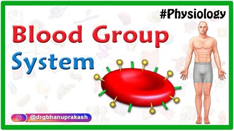 Abo Blood Grouping System And Rhesus Blood Group System Physiology