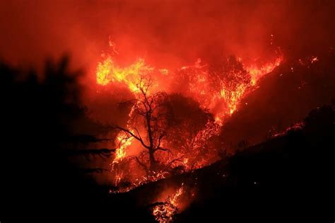 Thousands Under Evacuation Near Los Angeles As Wildfire Torches Homes Theprint Reutersfeed