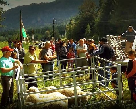 Corderazos La Nueva Herramienta De Lucha De Los Peque Os Crianceros