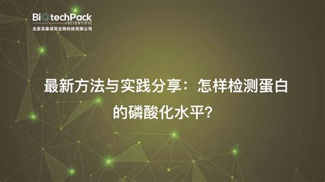 最新方法与实践分享：怎样检测蛋白的磷酸化水平？ 哔哩哔哩