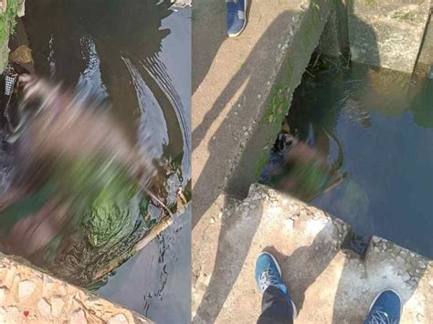 Dead Body Of An Elderly Woman Found Floating In Water In Sakri River