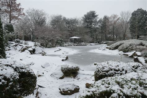 Rheinaue Jap Garten SCHNEE Hohpe Flickr