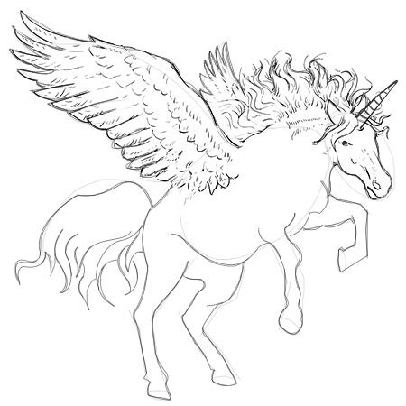 Unicorn With Wings Drawing at GetDrawings | Free download