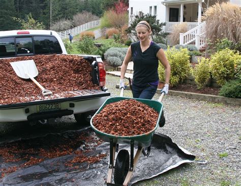 Your Gardening Body How To Scoop Mulch And Use A Wheelbarrow Without