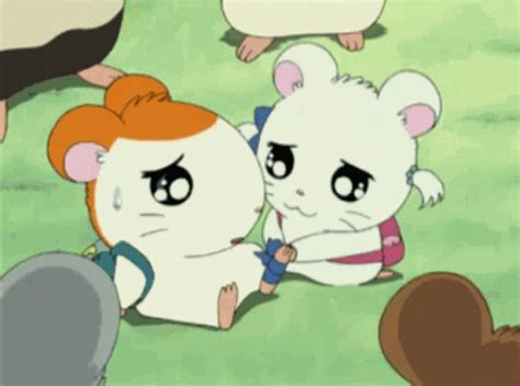 Hamtaro Bijou Hamtaro Bijou Discover Share Gifs