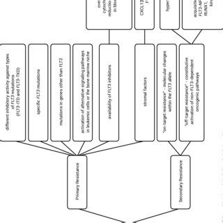 Mechanisms of TKI resistance. | Download Scientific Diagram