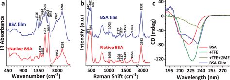 Spectroscopic And Structural Characterization Of The Bsa Film A Ftir Download Scientific