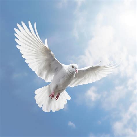 Premium AI Image | Flying white pigeon