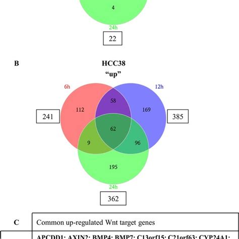 Wnt3a Dependent Gene Activation In Mda Mb 468 And Hcc38 Cells Venn